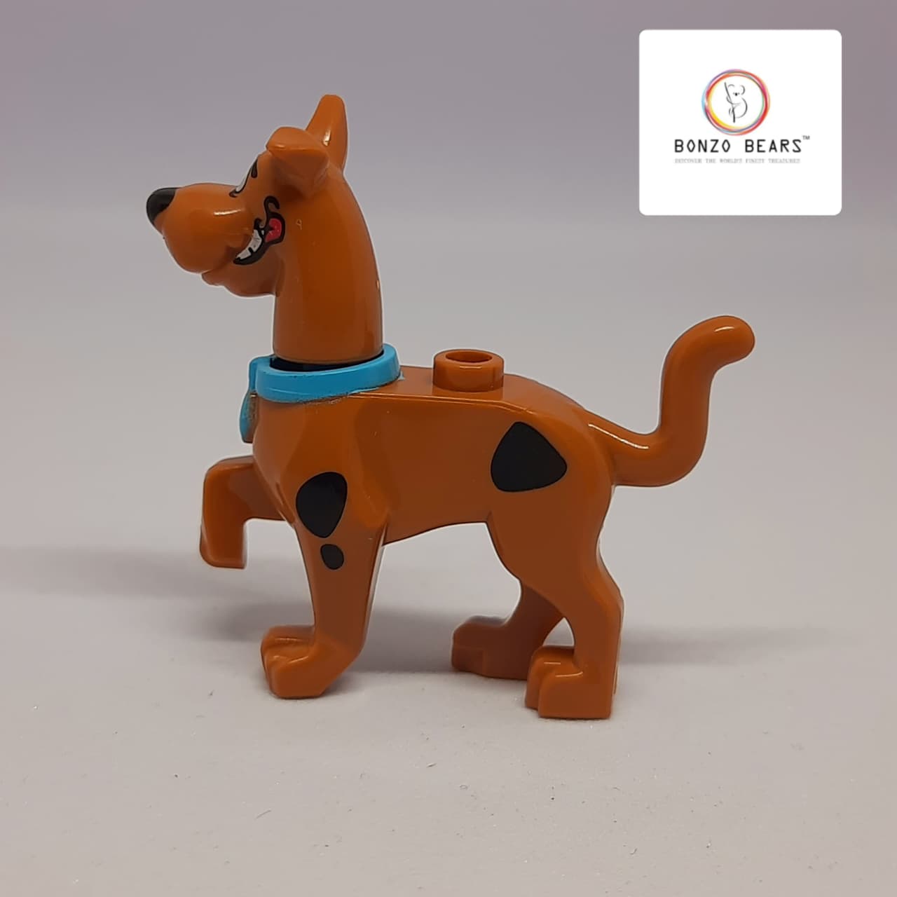 Shaggy Rogers and Scooby-Doo from the Scooby-Doo! (Lego Compatible) Sealed Pack | Bonzo Bears