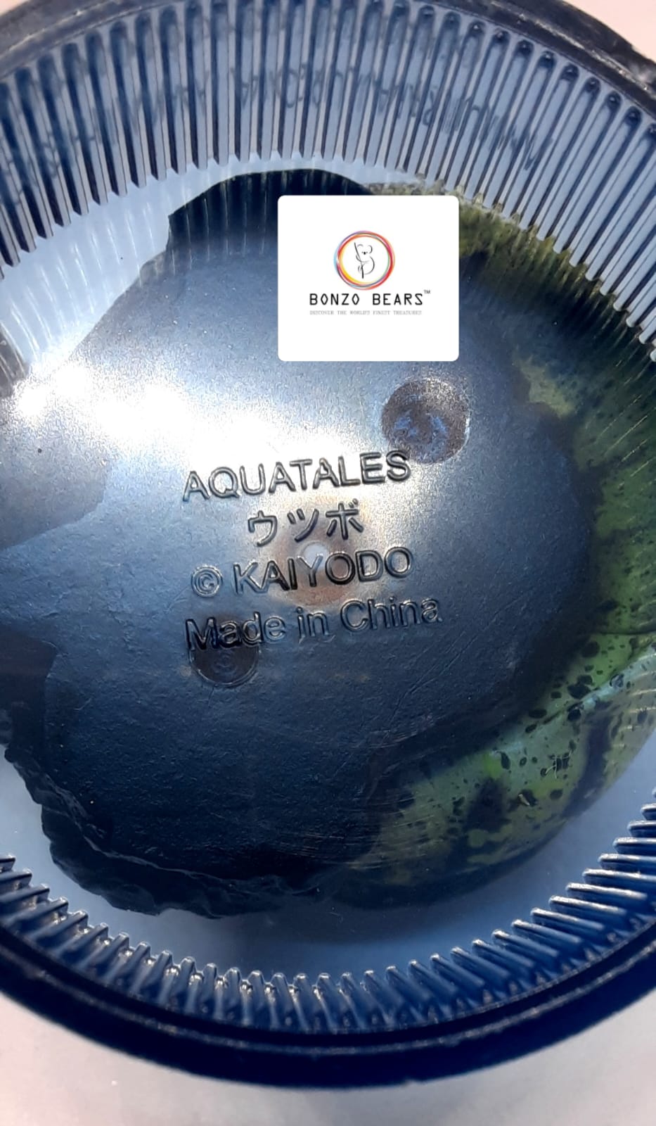 japan Exclusive - Aquatales Enoshima Aquarium MORAY EEL - Kaiyodo | Bonzo Bears