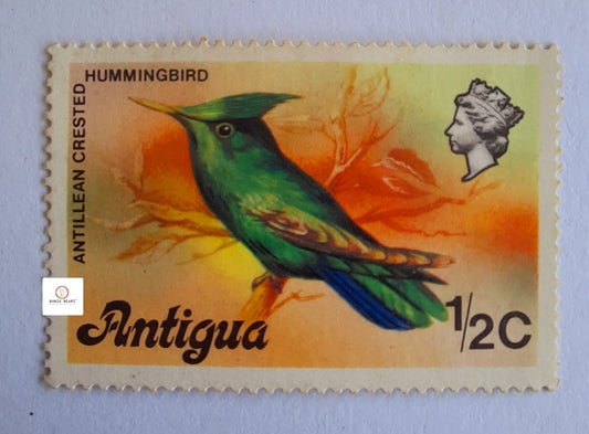 1976 Hummingbird Stamp - Antigua - Green Bird Wildlife MNH