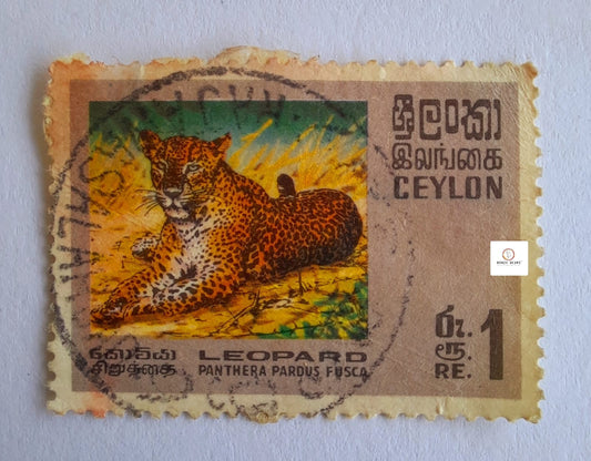 1969 Ceylon srilanlka Leopard Stamp used