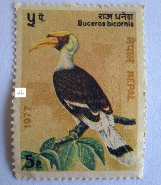 Great Hornbill (Buceros bicornis) (Nepal 1977)