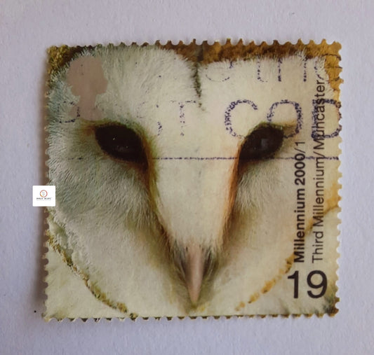 Barn Owl - Millennium Projects- GB 2000 19d