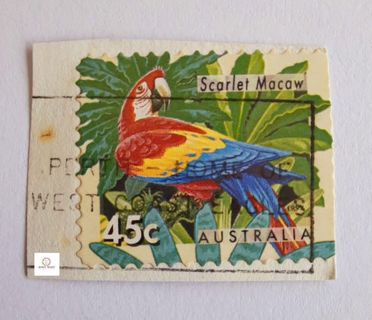 Scarlet Macaw - A unique Australia Stamp