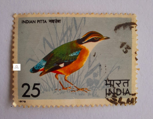 Indian Pitta 1975 - India Stamp