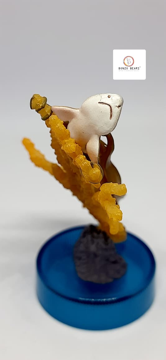 Exclusive Marine life in High Detail Blotchy Swellshark Egg Capsule (Cephaloscyllium Umbratile) from the Enoshima Aquarium Collection | Bonzo Bears