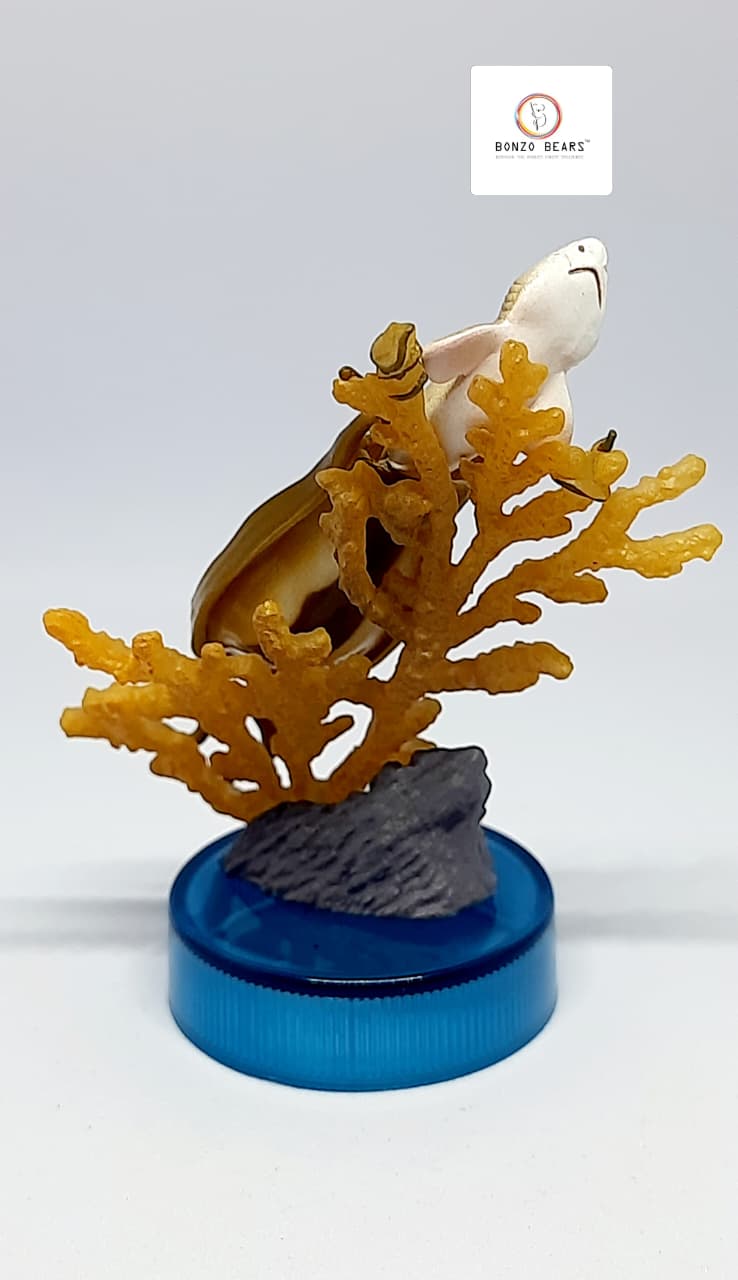 Exclusive Marine life in High Detail Blotchy Swellshark Egg Capsule (Cephaloscyllium Umbratile) from the Enoshima Aquarium Collection | Bonzo Bears