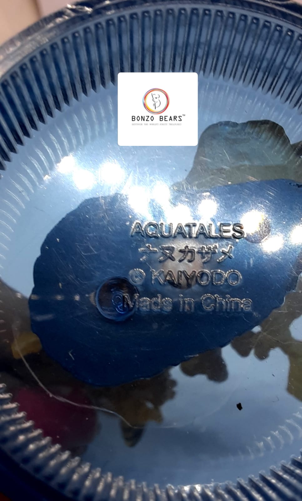 Exclusive Marine life in High Detail Blotchy Swellshark Egg Capsule (Cephaloscyllium Umbratile) from the Enoshima Aquarium Collection | Bonzo Bears