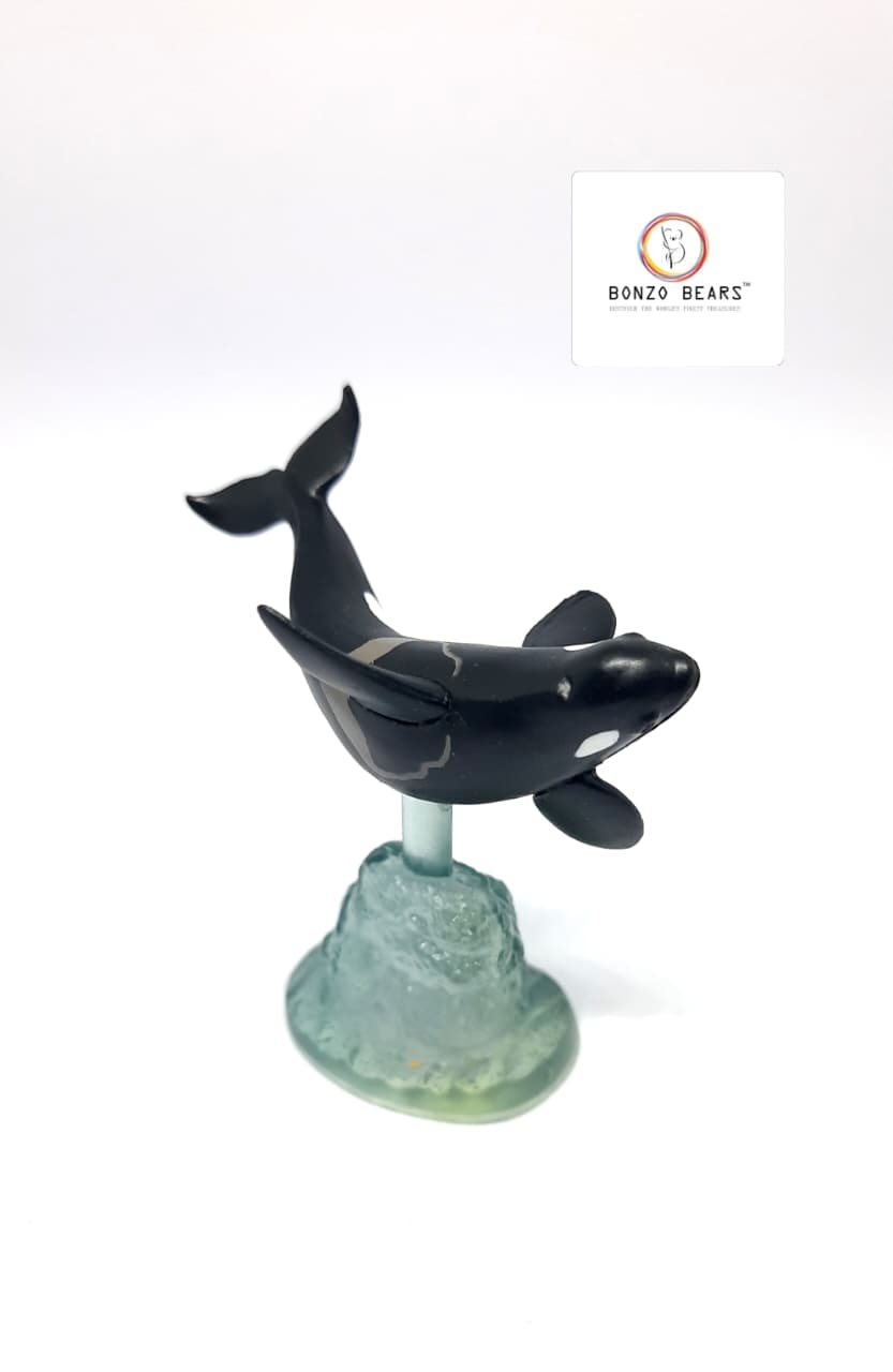 Killer Whale- Highly detailed  - Kaiyodo | Bonzo Bears