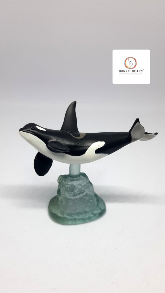Killer Whale- Highly detailed  - Kaiyodo | Bonzo Bears