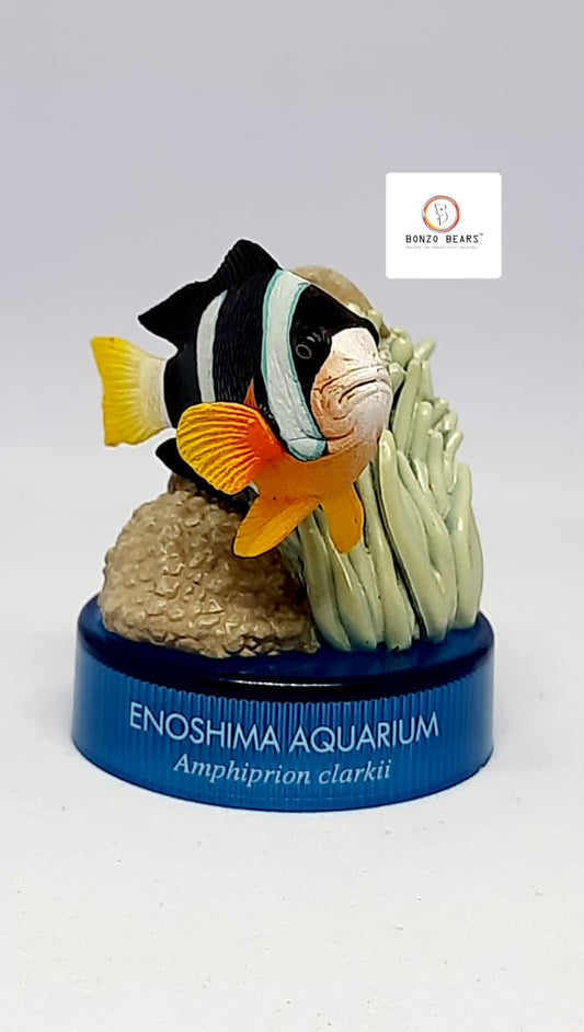 Aquatales Enoshima Aquarium Clark’s Anemone Fish Bottle Cap Collection - Kaiyodo | Bonzo Bears