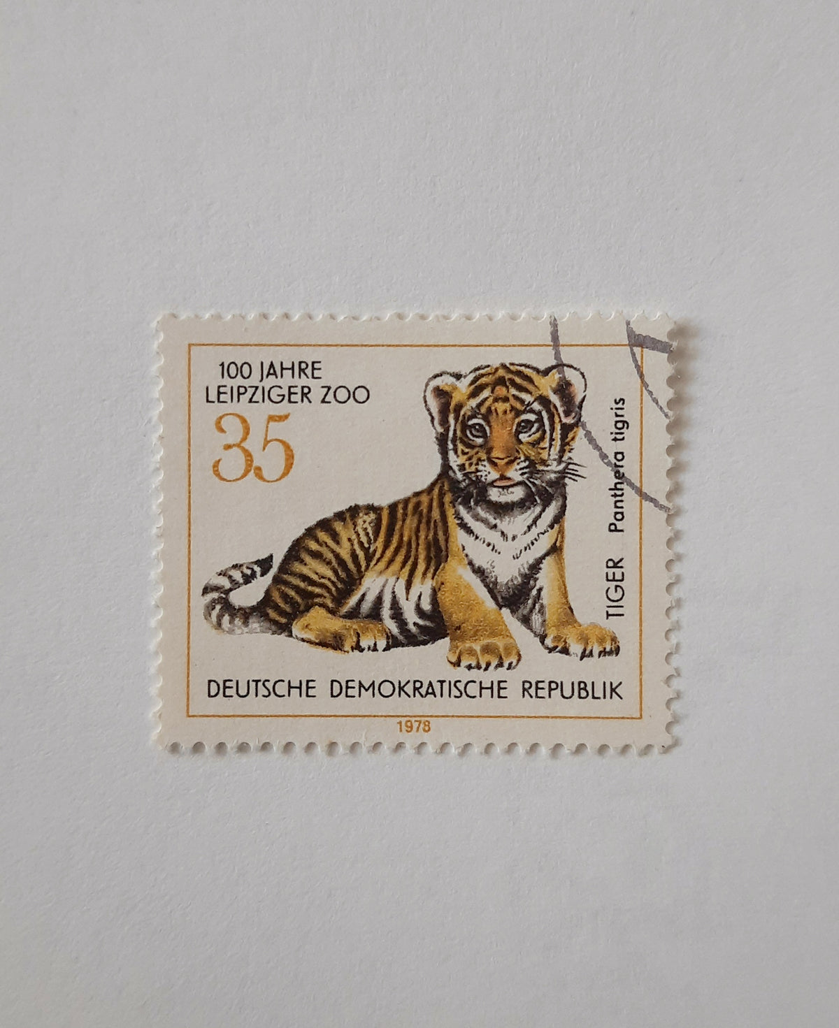 1978 East German - Tiger (Panthera tigris) / 100 Years of the Leipzig Zoo | Amur Tiger (Panthera tigris altaica)- Stamp