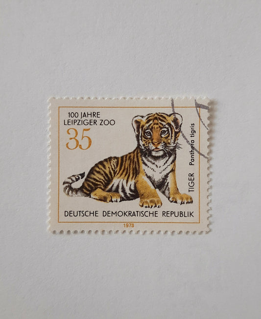 1978 East German - Tiger (Panthera tigris) / 100 Years of the Leipzig Zoo | Amur Tiger (Panthera tigris altaica)- Stamp